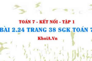 Bài 2.24 trang 38 SGK Toán 7 tập 1 Kết nối tri thức